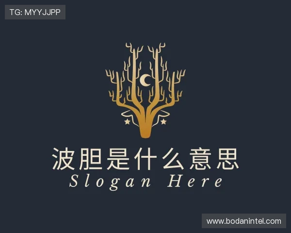 知道足球比赛推荐